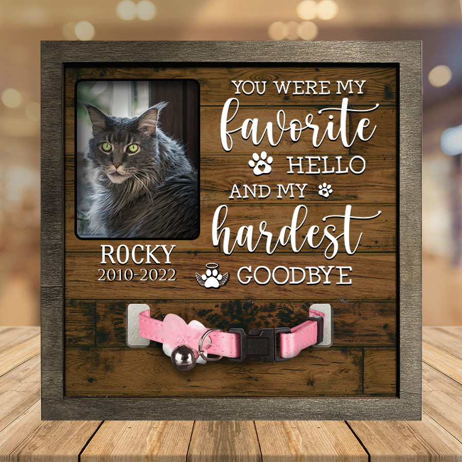A Maine Coon Cat Picture Frames Memorial Pet you''re my favorite Memorial Gifts Pet Lover Gifts