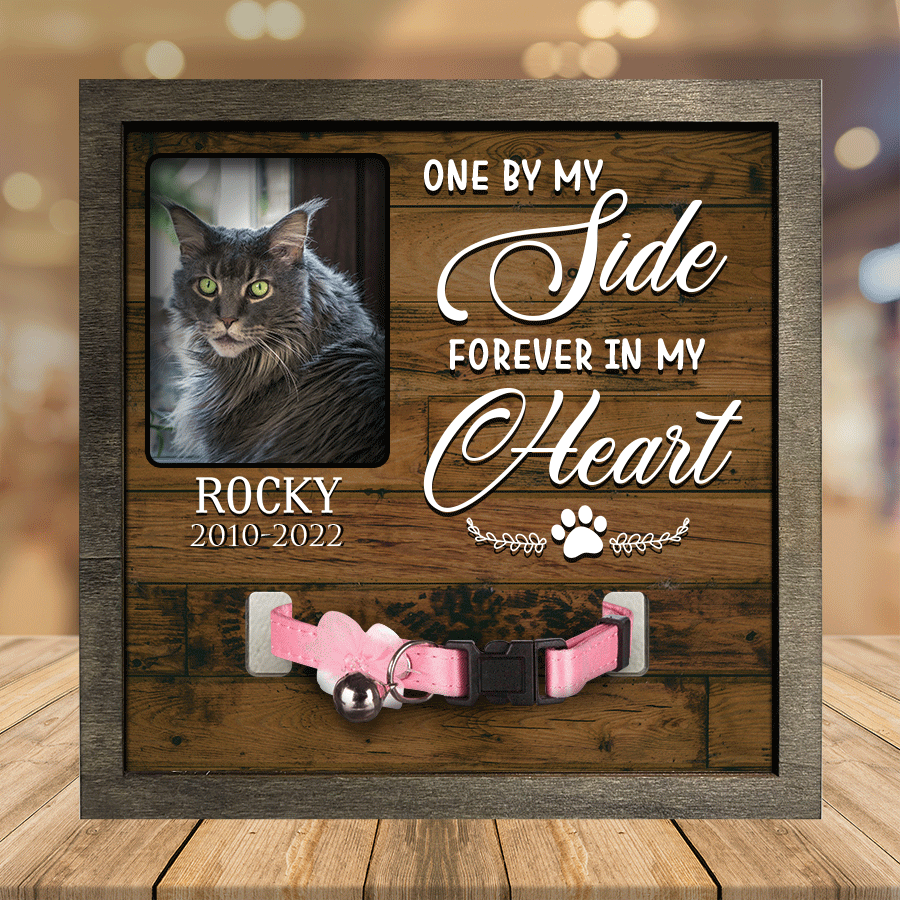 A Maine Coon Cat Picture Frames Memorial Pet you