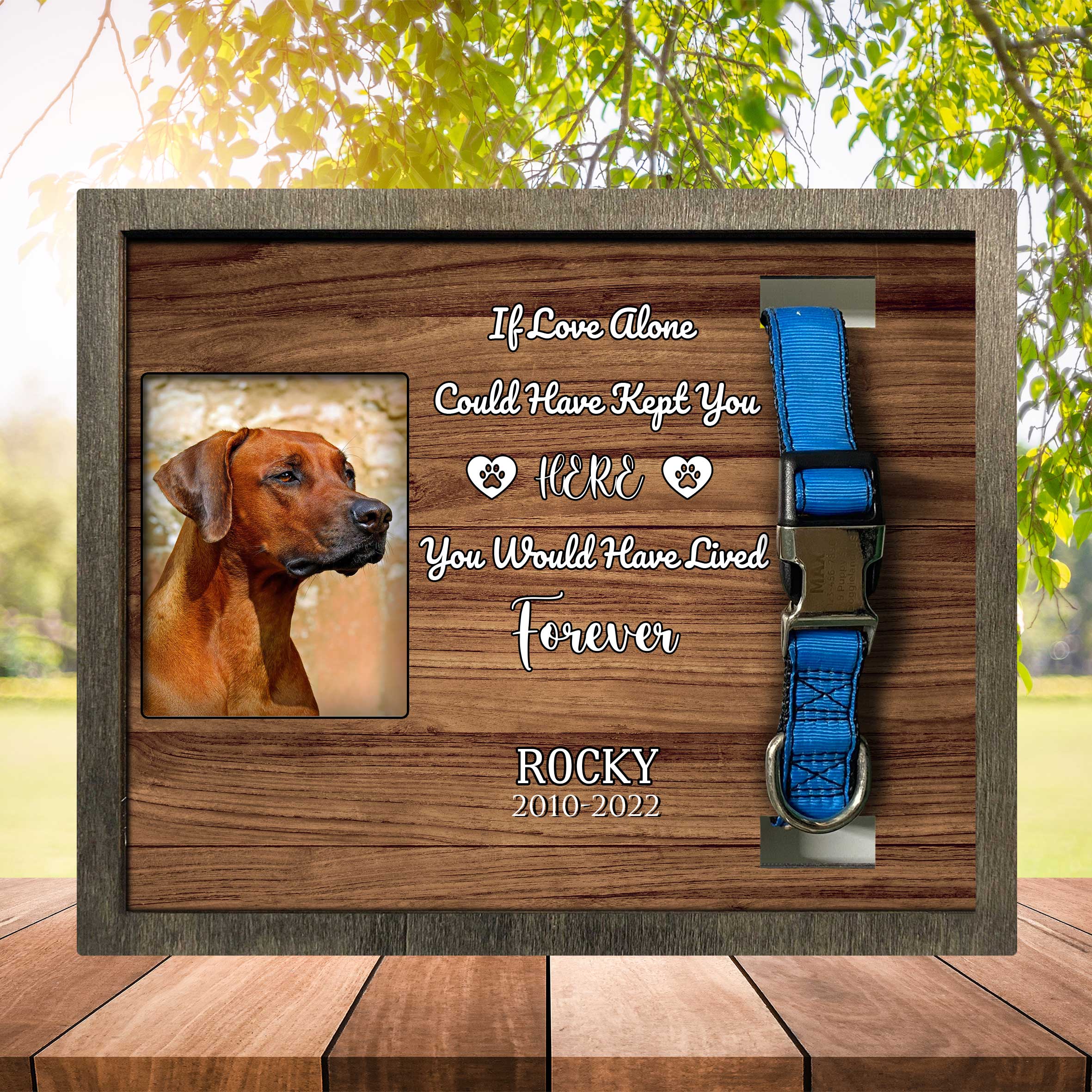 Dog Memorial Plaque For Loss Of Rhodesian Ridgeback/ Remembrance Frame For Dog