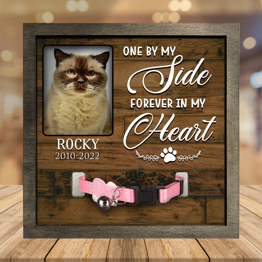 Personalized A British Shorthair Cat Picture Frames Memorial Pet I can run like a Kitty Cat Lover Gift/ Memorial Gifts