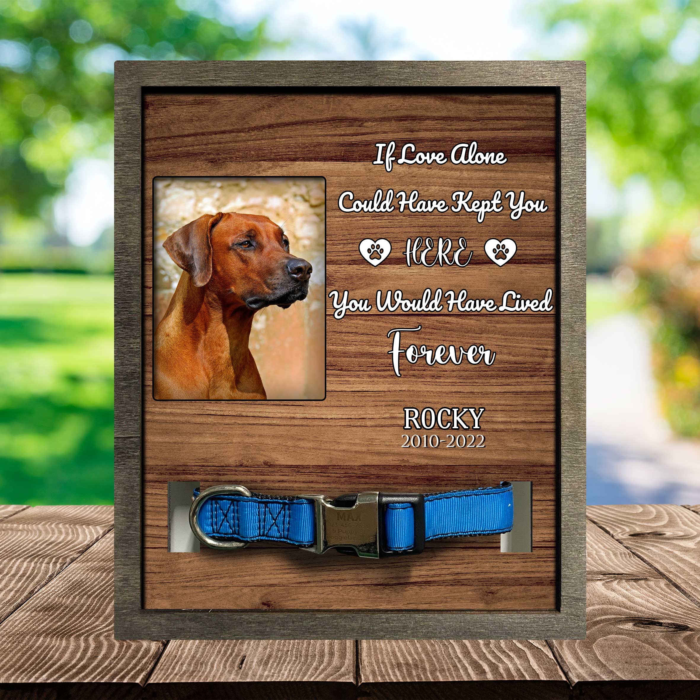 Dog Memorial Plaque For Loss Of Rhodesian Ridgeback/ Remembrance Frame For Dog