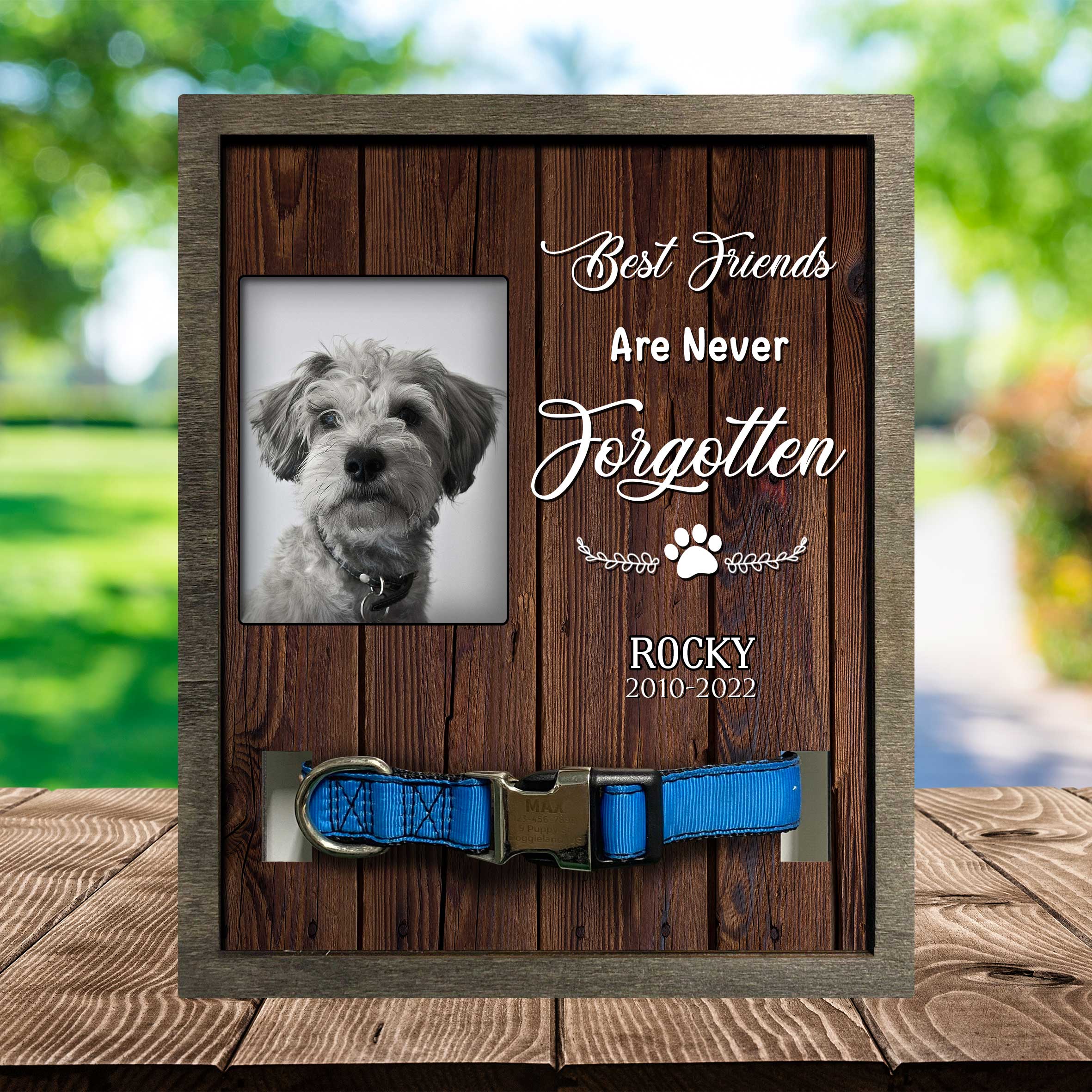 Picture Frame For Lost Of Schnauzer/ Memorial Dog Frame Photo