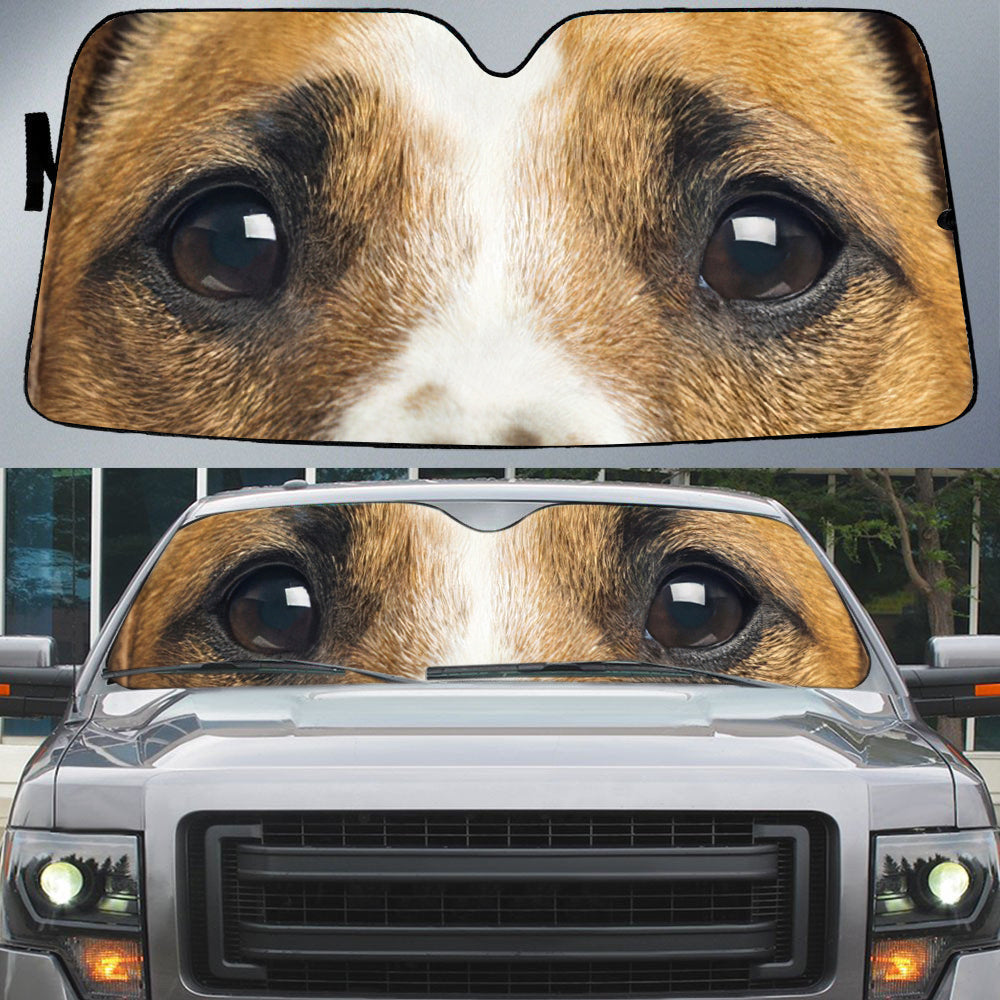 Jack Russell Terrier''s Eyes Beautiful Dog Eyes Car Sun Shade Cover Auto Windshield
