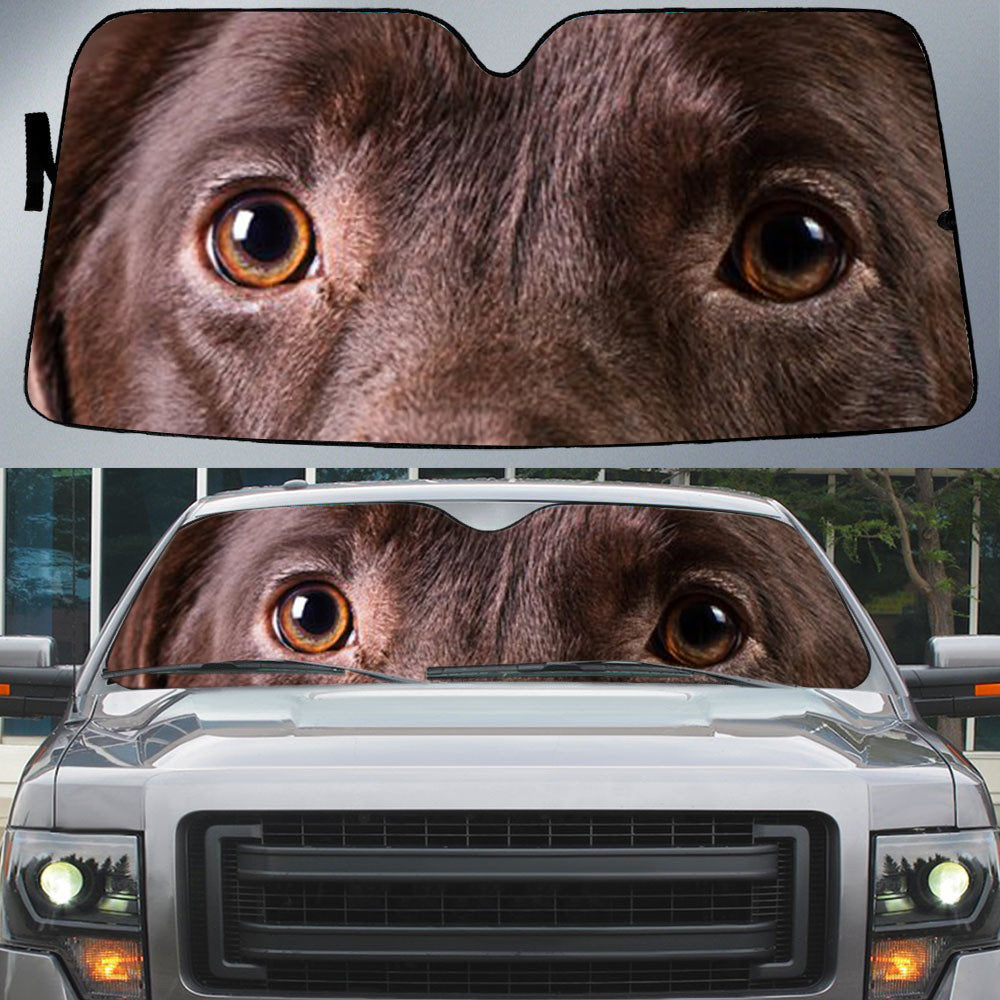 Labrador Chocolate''s Eyes Beautiful Dog Eyes Car Sun Shade Cover Auto Windshield