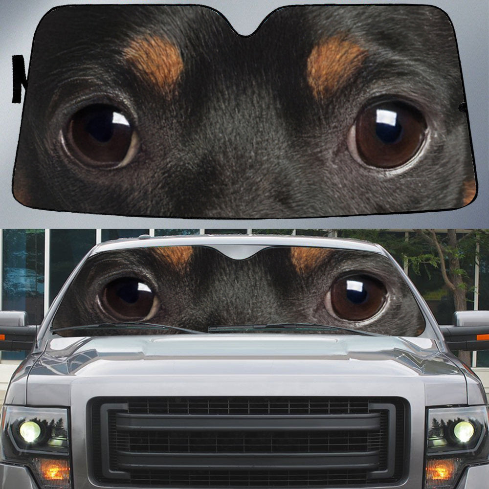 Miniature Pinscher''s Eyes Beautiful Dog Eyes Car Sun Shade Cover Auto Windshield