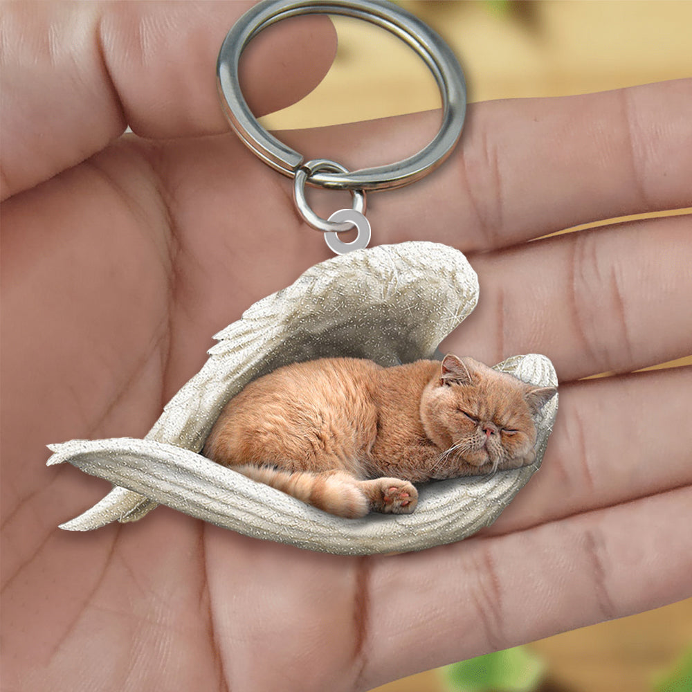 Persian Cat Sleeping Angel Acrylic Keychain Cat Sleeping keychain