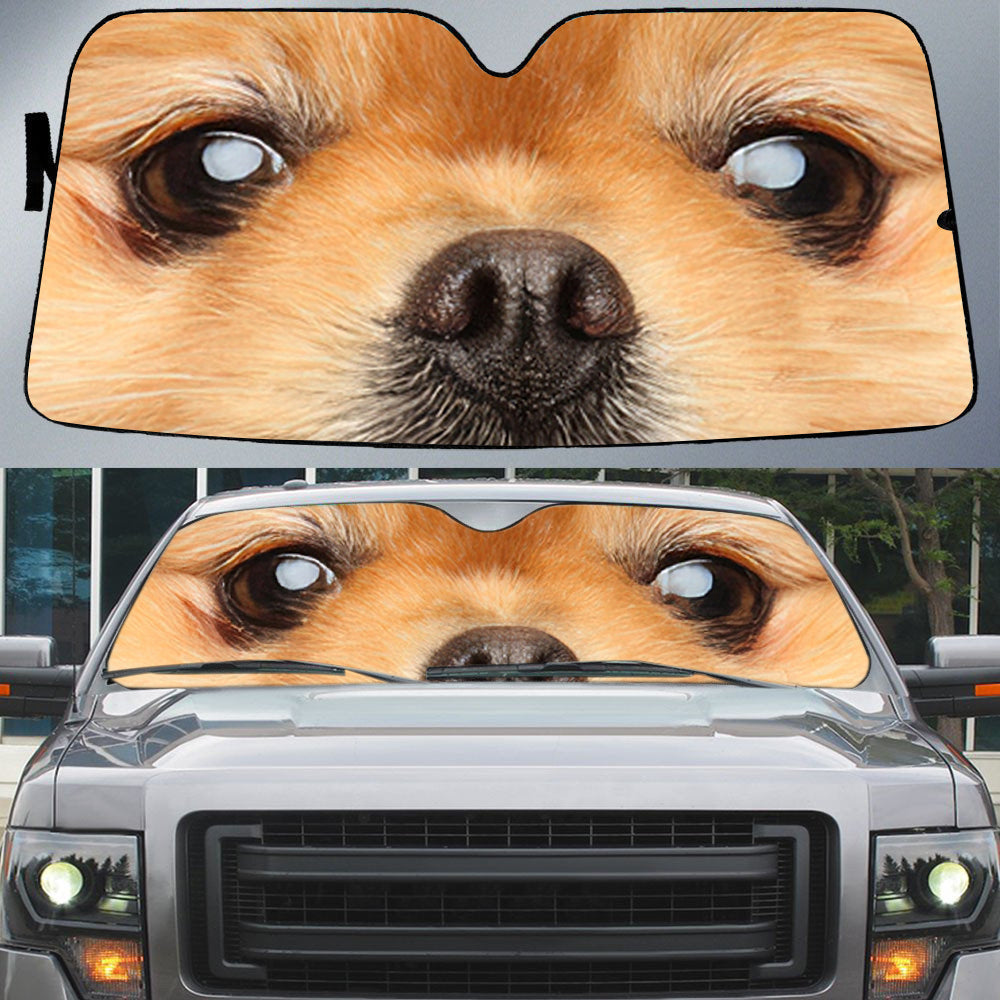Nice Pomeranian''s Eyes Beautiful Dog Eyes Car Sun Shade Cover Auto Windshield