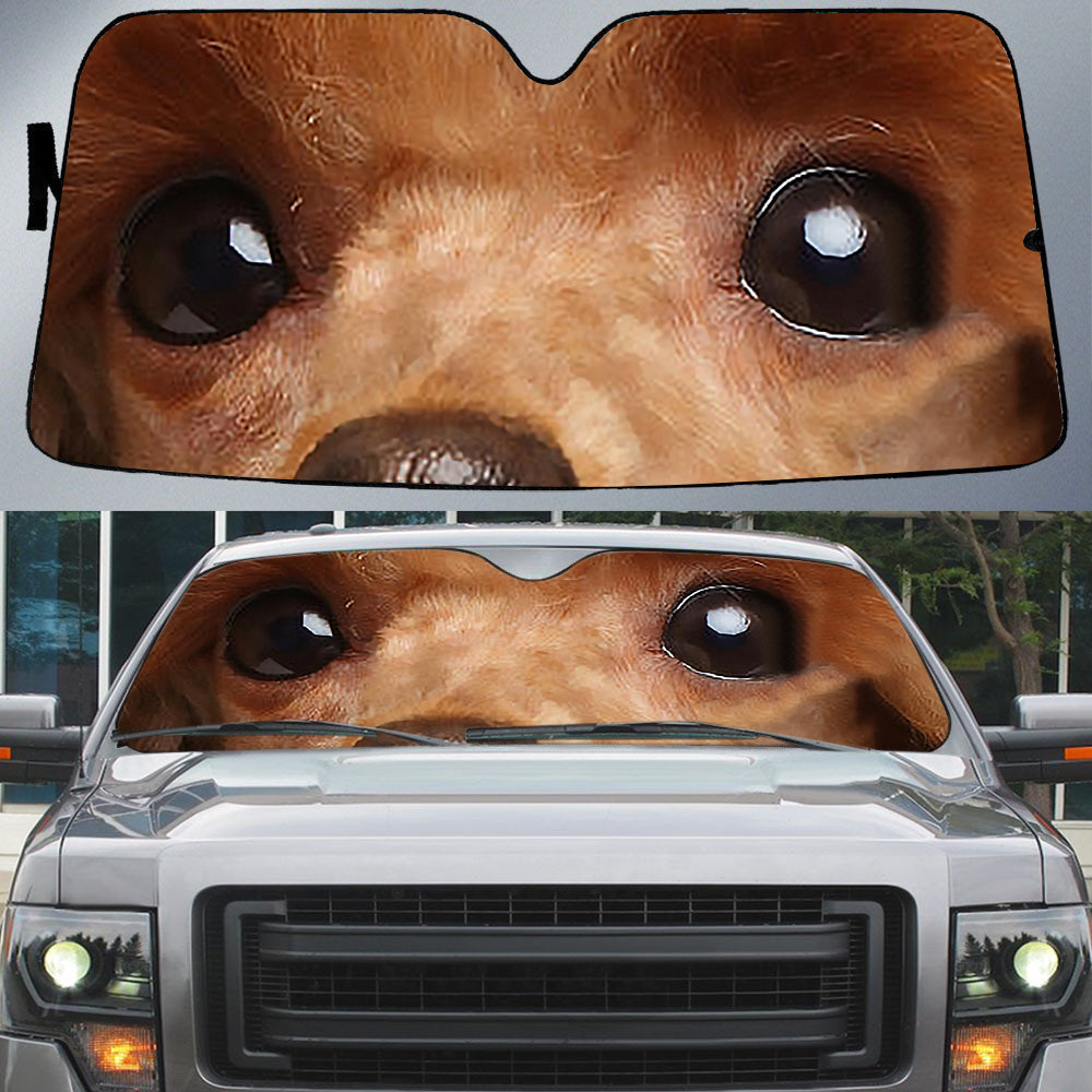 Poodle''s Eyes Beautiful Dog Eyes Car Sunshade Cover Auto Windshield