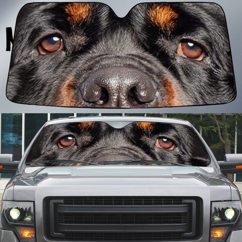 Rottweiler''s Eyes Beautiful Dog Eyes Car Sun Shade Cover Auto Windshield Protector