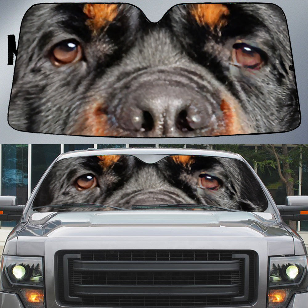 Rottweiler''s Eyes Beautiful Dog Eyes Car Sun Shade Cover Auto Windshield