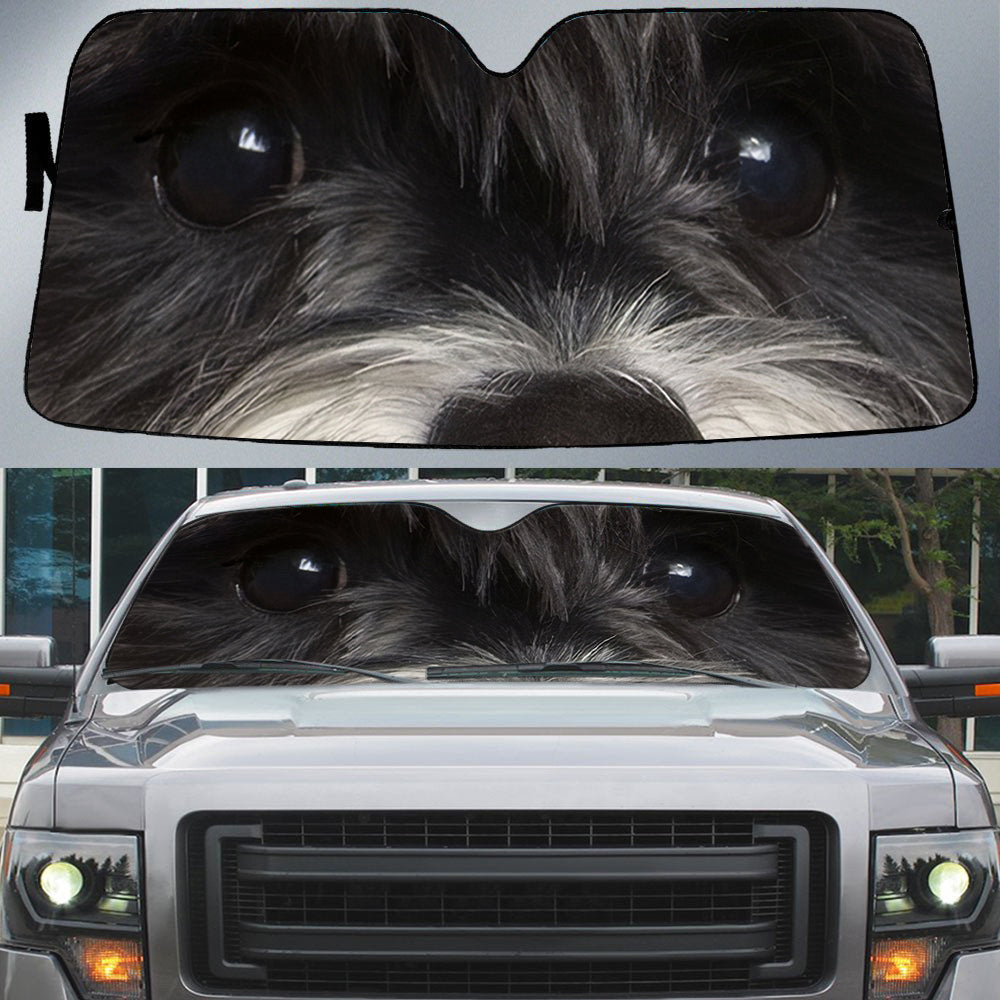 Schnauzer''s Eyes Beautiful Dog Eyes Car Sun Shade Cover Auto Windshield
