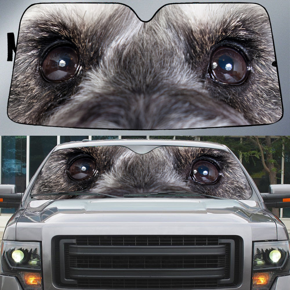Schnauzer''s Eyes Beautiful Dog Eyes Car Sunshade Cover Auto Windshield