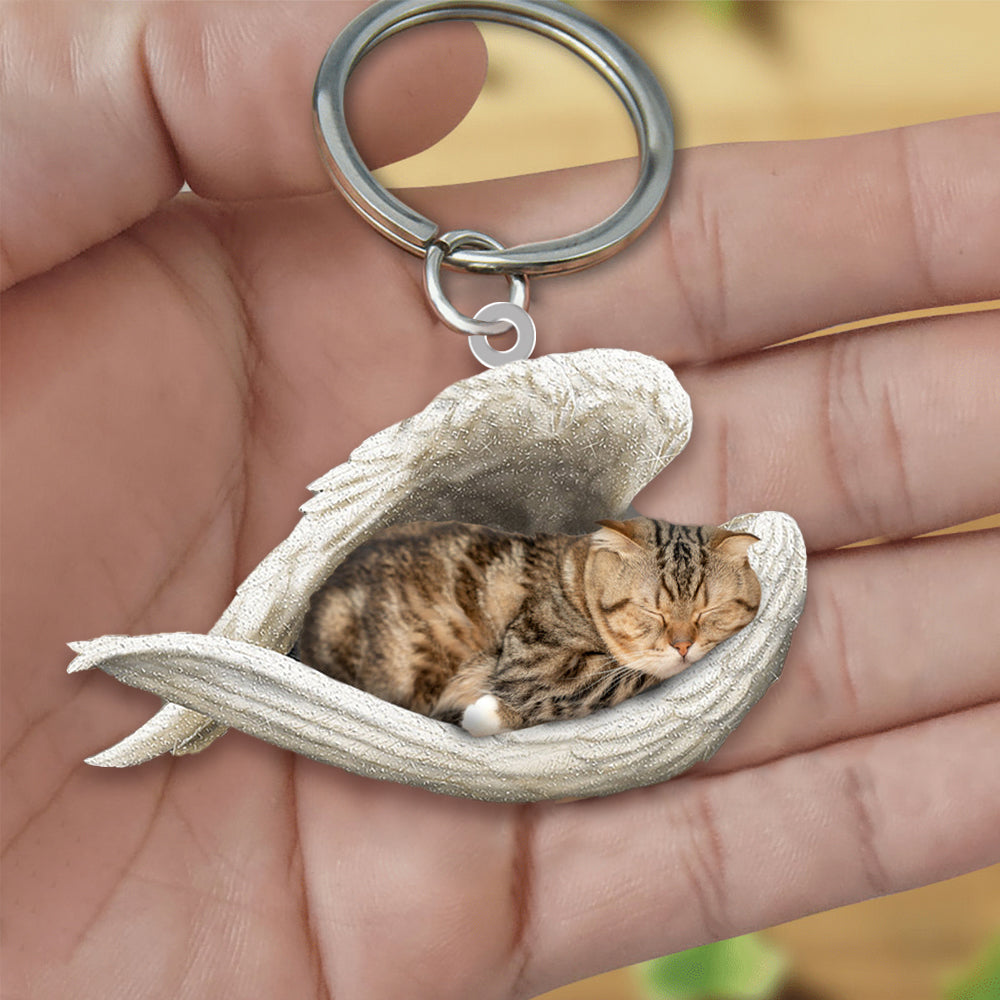 Scottish Fold Cat Sleeping Angel Acrylic Keychain Cat Sleeping keychain
