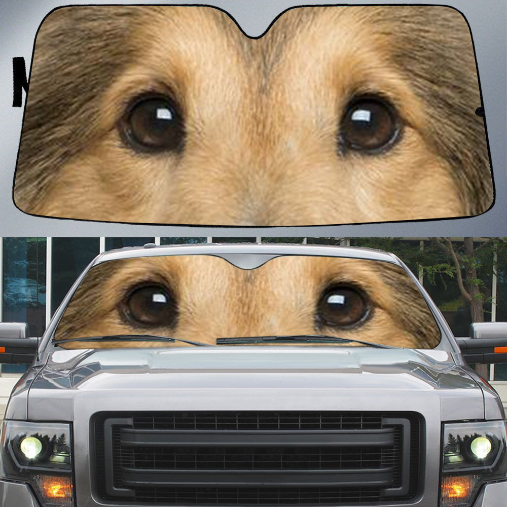 Shetland Sheepdog''s Eyes Beautiful Dog Eyes Car Sun Shade Cover Auto Windshield