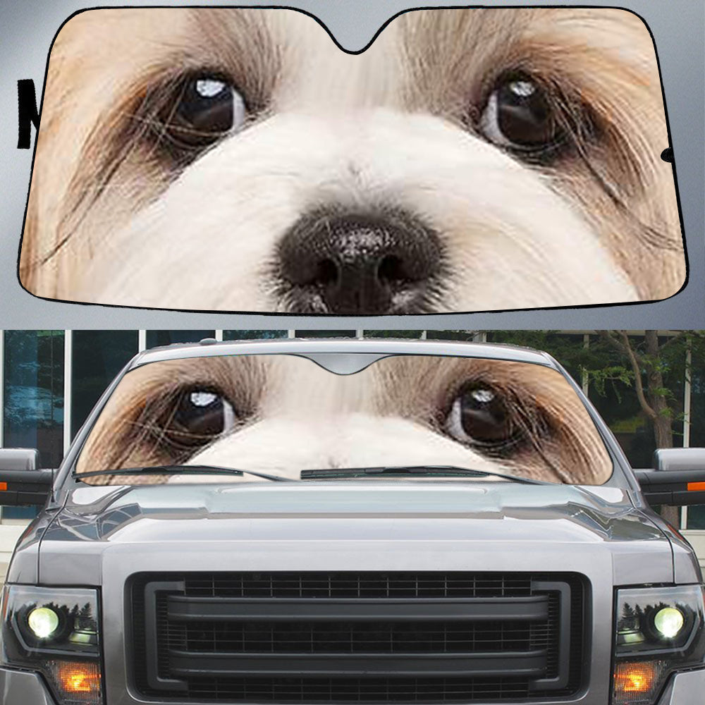 Shih Tzu''s Eyes Beautiful Dog Eyes Car Sun Shade Cover Auto Windshield Coolspod