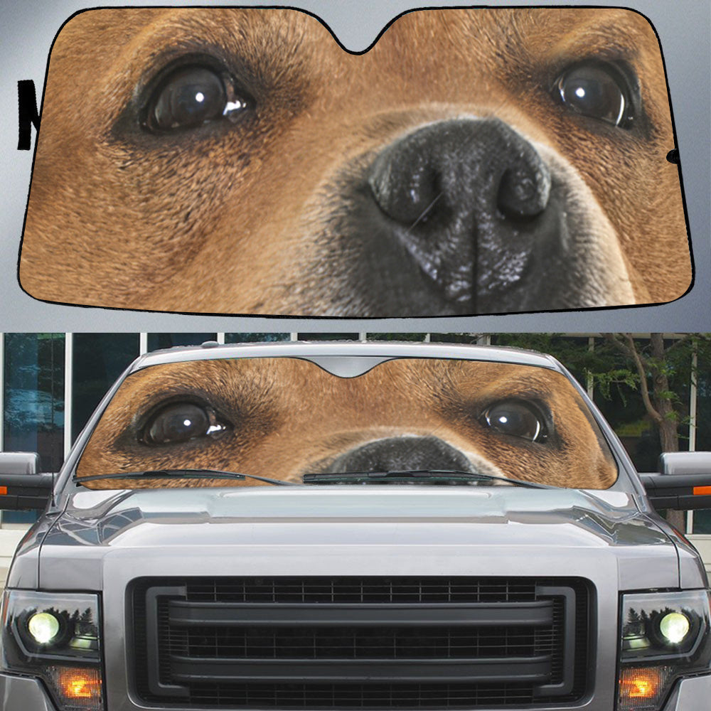 Staffordshire Bull Terrier Eyes Beautiful Dog Eyes Car Sun Shade Cover Auto Windshield