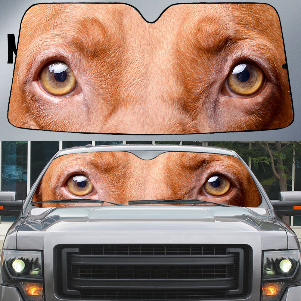 Vizsla''s Eyes Beautiful Dog Eyes Car Sunshade Cover Auto Windshield