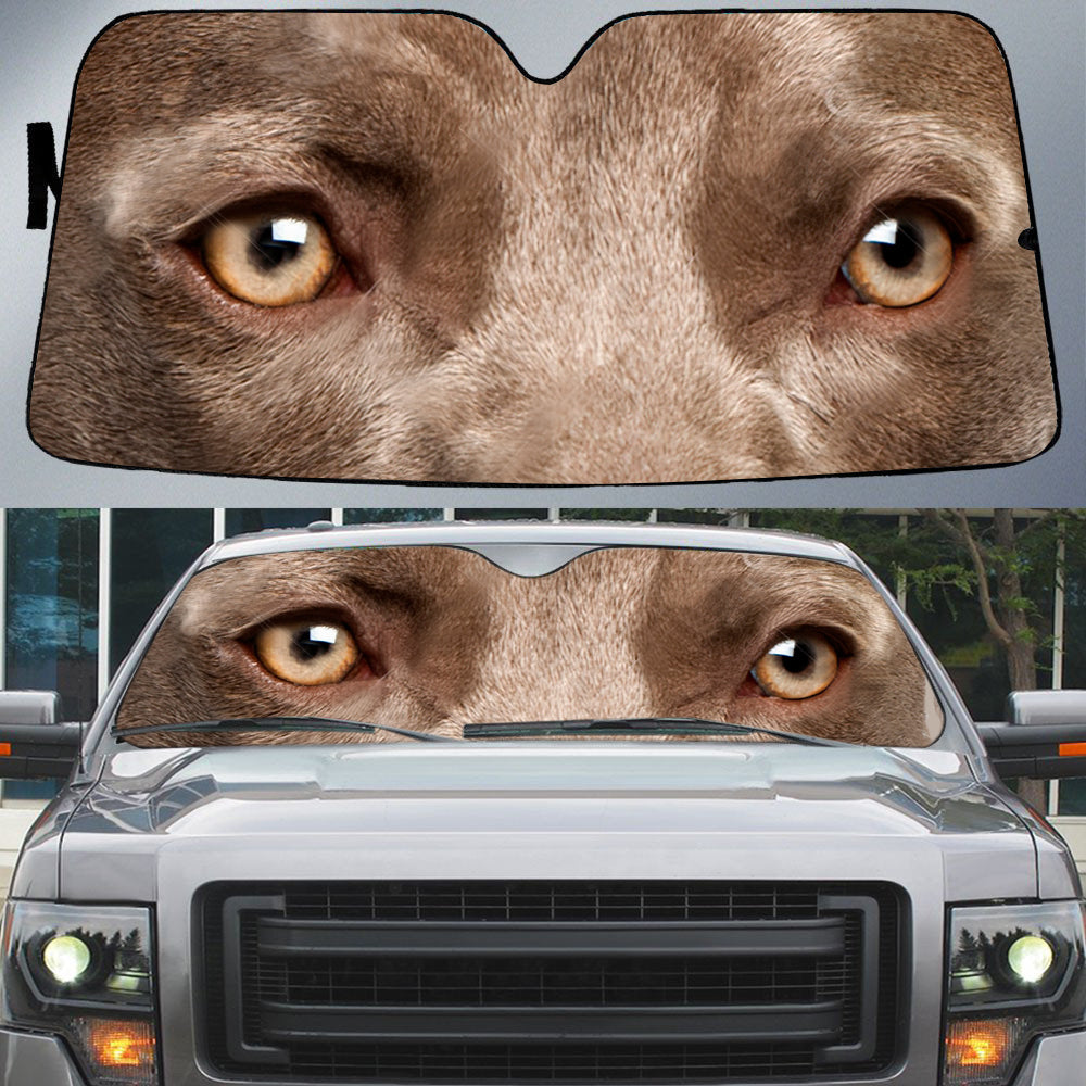 Weimaraner''s Eyes Beautiful Dog Eyes Car Sunshade Cover Auto Windshield