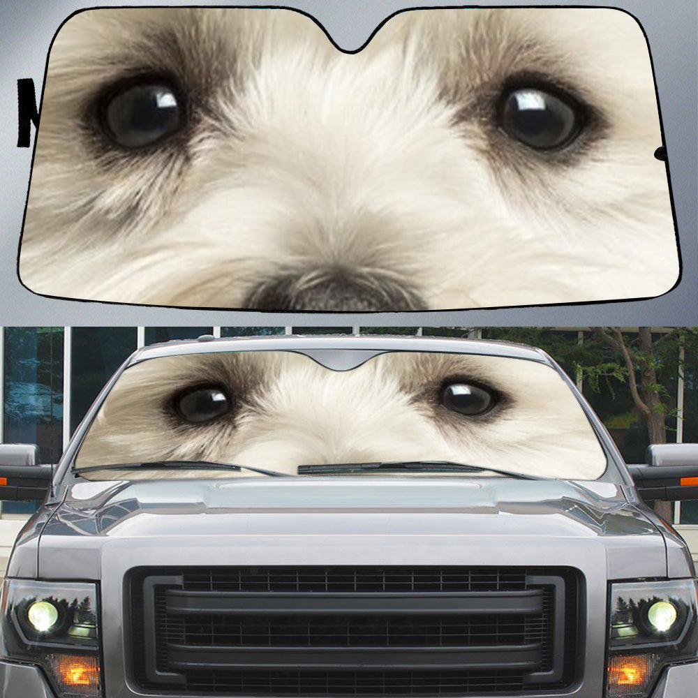 West Highland Terrier''s Eyes Beautiful Dog Eyes Car Sun Shade Cover Auto Windshield