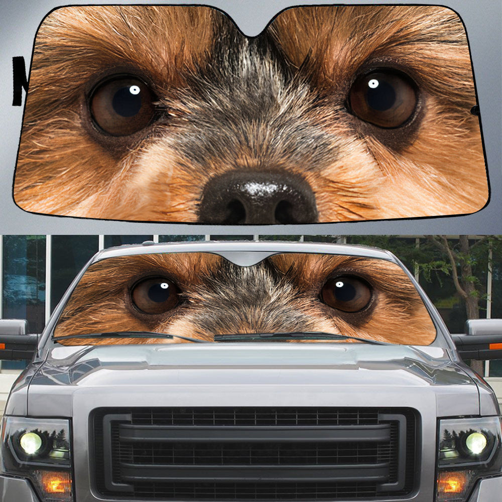 Yorkshire Terrier''s Eyes Beautiful Dog Eyes Car Sun Shade Cover Auto Windshield