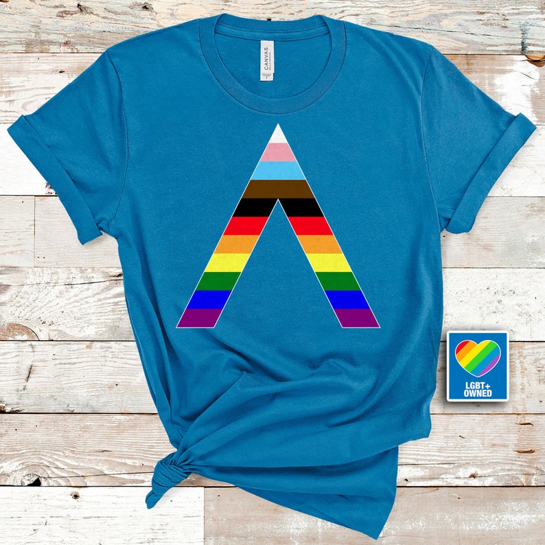 Pride T Shirt/ Gay Pride LGBTQ Shirt/ Pride Shirt/ Trans T Shirt/ LGBT Clothing Pride Shirt