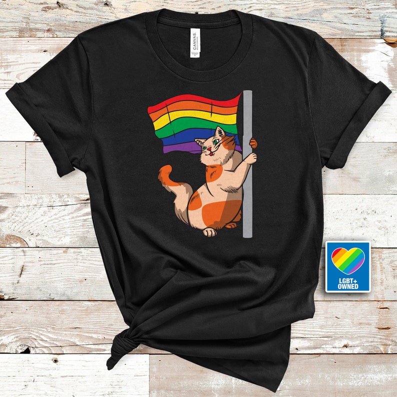 Rainbow Pride Flag Cat TShirt/ Gay Pride LGBTQ Shirt/ Trans T Shirt/ T Shirt For Gay/ LGBT Shirt