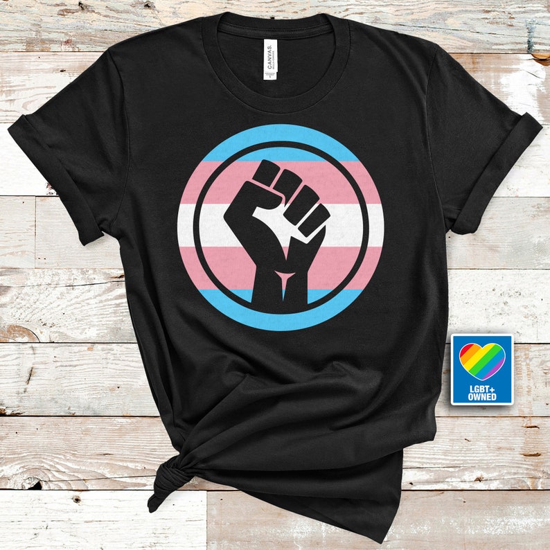 Pansexual Shirt/ Gay Pride LGBTQ Shirt/ Pride Shirt/ Trans TShirt/ LGBT Shirt/ Lesbian Gay Clothing