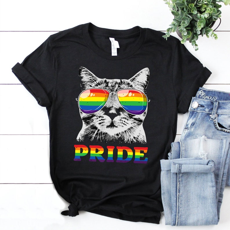 Funny Cat Gay Pride LGBT Rainbow Shirt/ Cat Lover Gift LGBT/ Rainbow Pride Shirt