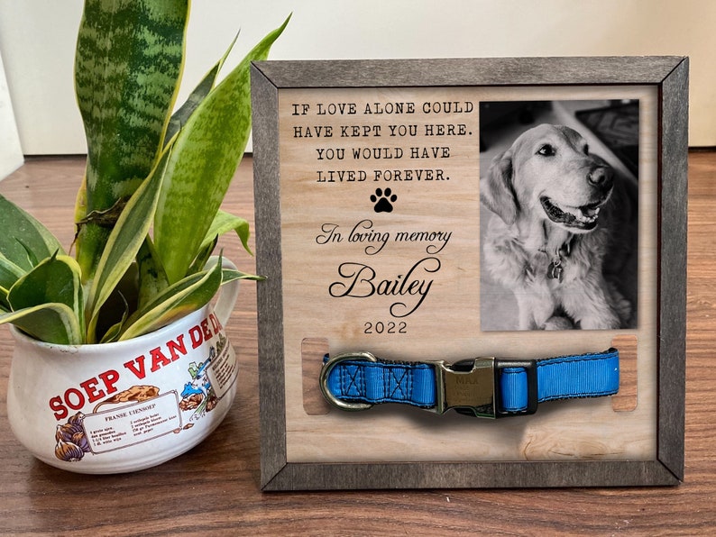 Memorial Pet Collar Frame/ Black & White Photo/ Loss of Dog/ Cat Loss Gifts/ Pet Collar Holder/ Memorial Standing Frame/ Bereavement Gifts