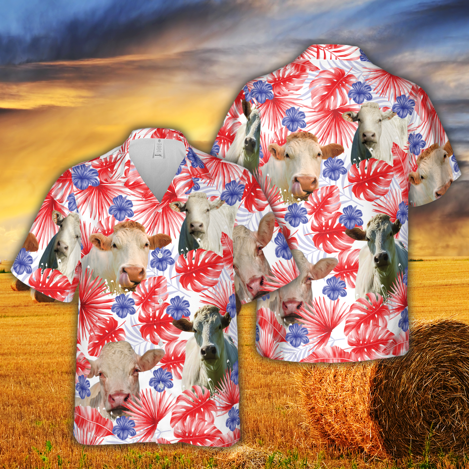 American Colors Charolais Cattle Hawaiian Shirt