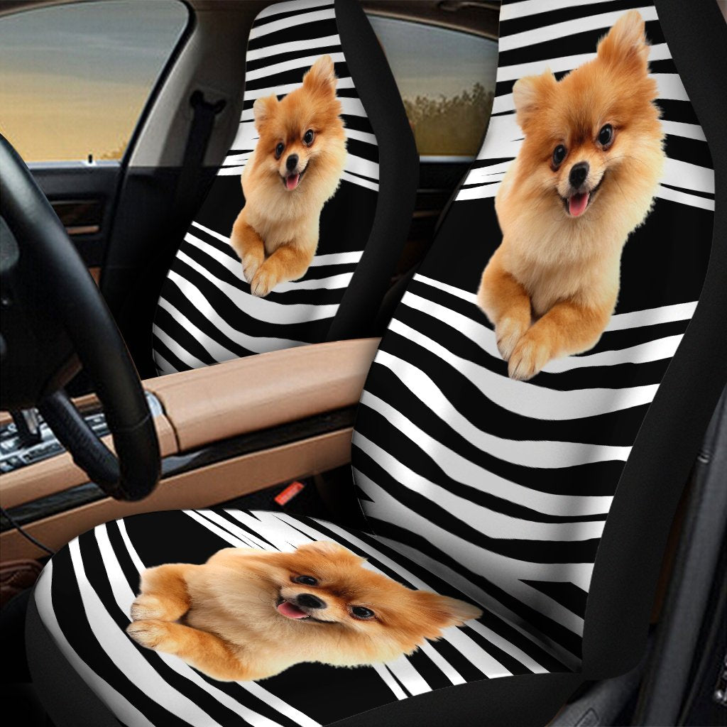 3D All Over Print Pomeranian Car Seat Covers