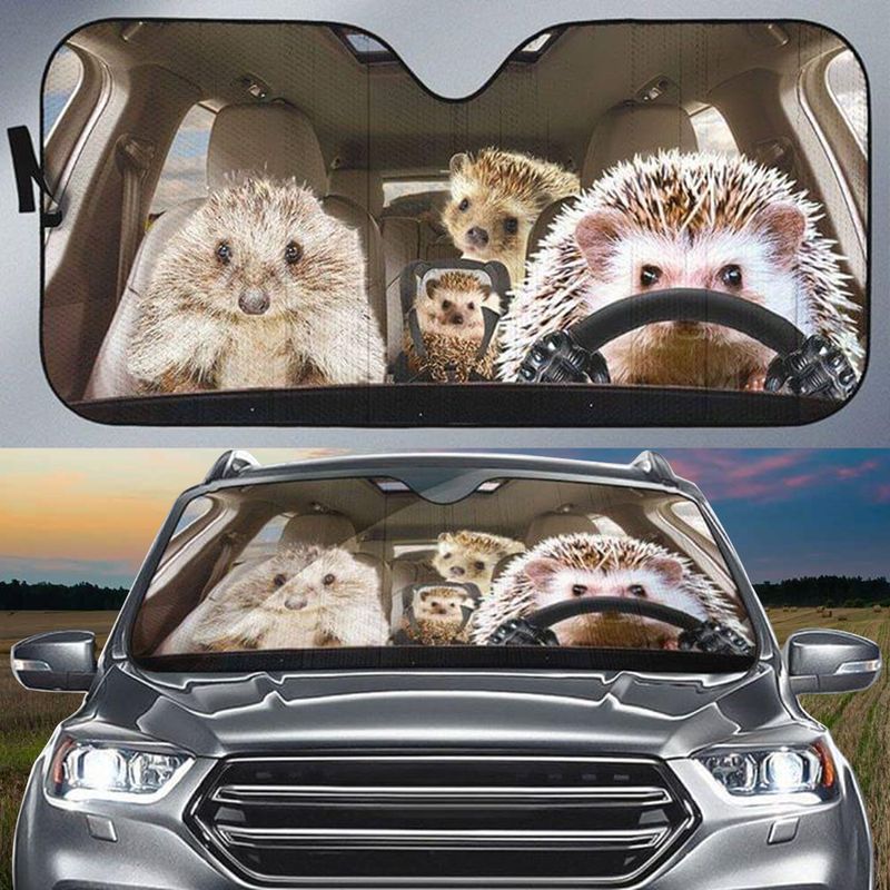 Hedgehog Car Sunshade