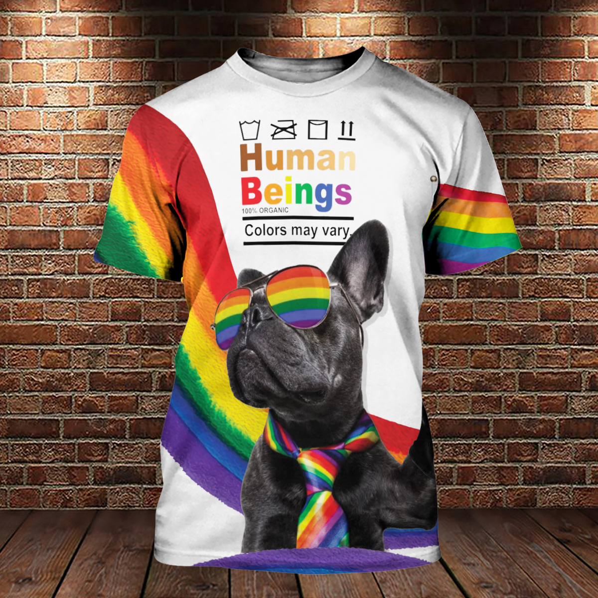 Rainbow Striped Shirt/ Human Being 3D All Over Printed Shirts For LGBT Community/ Bisexual Shirts