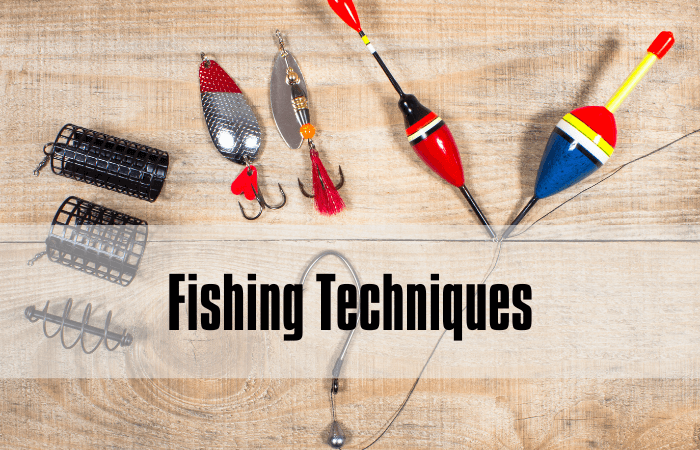 Fishing 101: A Comprehensive Guide from Essential Gear to Mastering Te –  bottlestalk