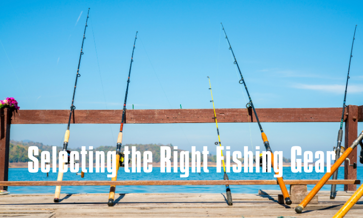 Selecting the Right Fishing Gear