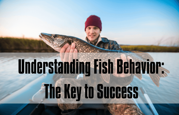 Understanding Fish Behavior The Key to Success