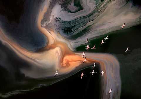 Jeffery Wu's Photographs
