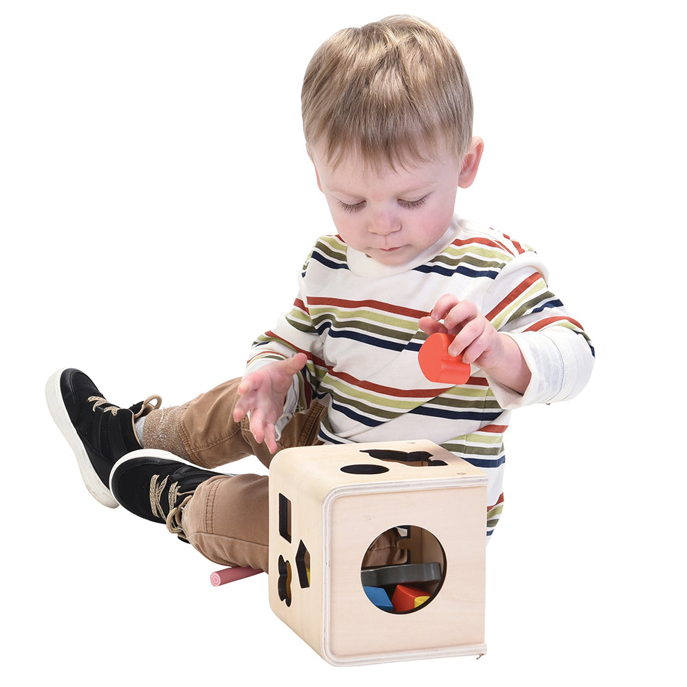 Wooden Animal & Shape Sorter