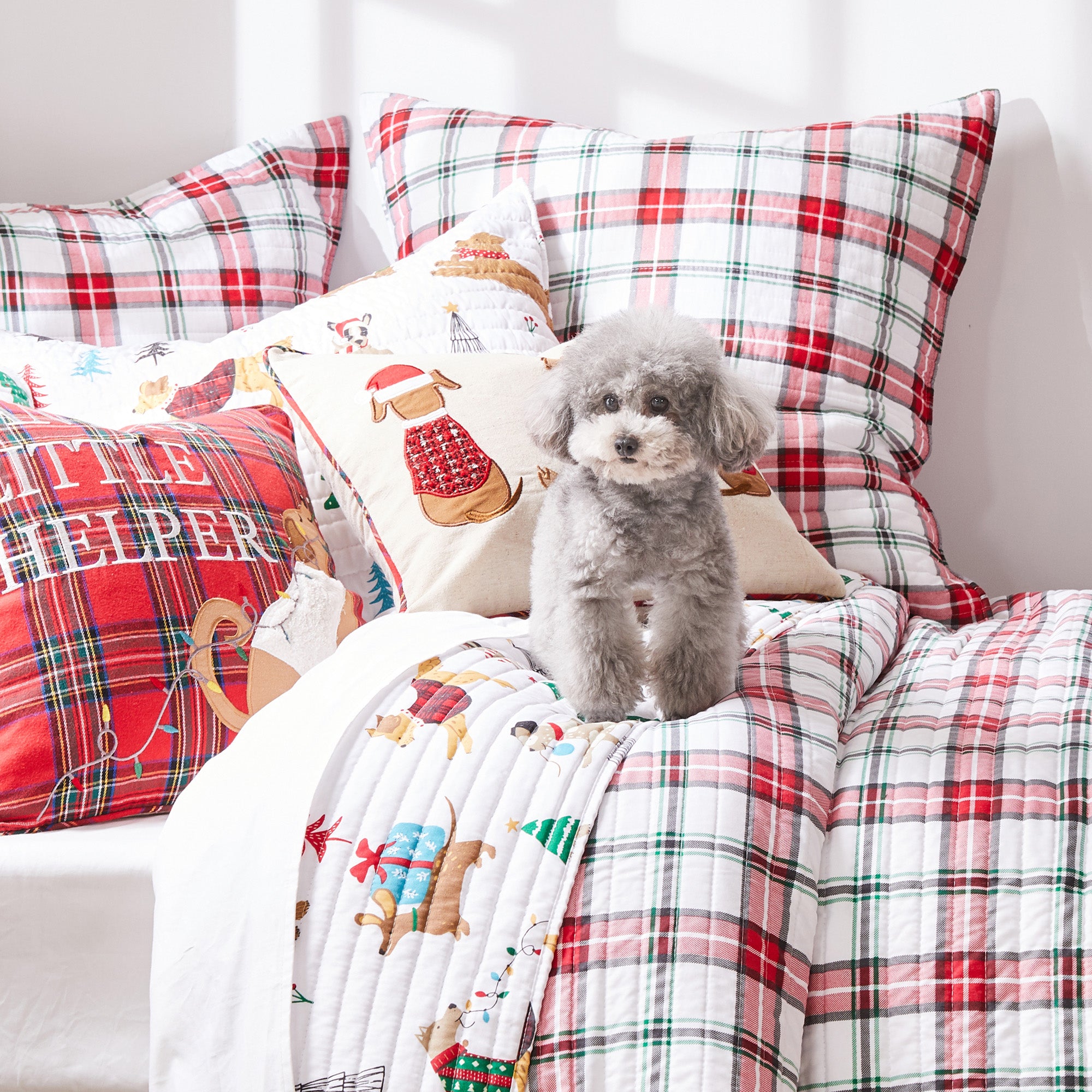 Jingle Paws Quilt Set