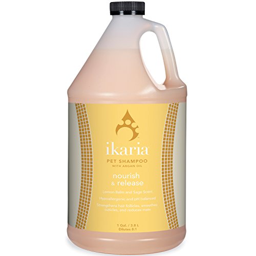 IK Nourish Shampoo Release Gallon