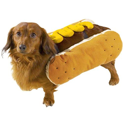 CC Hot Diggity Dog Costume M Mustard