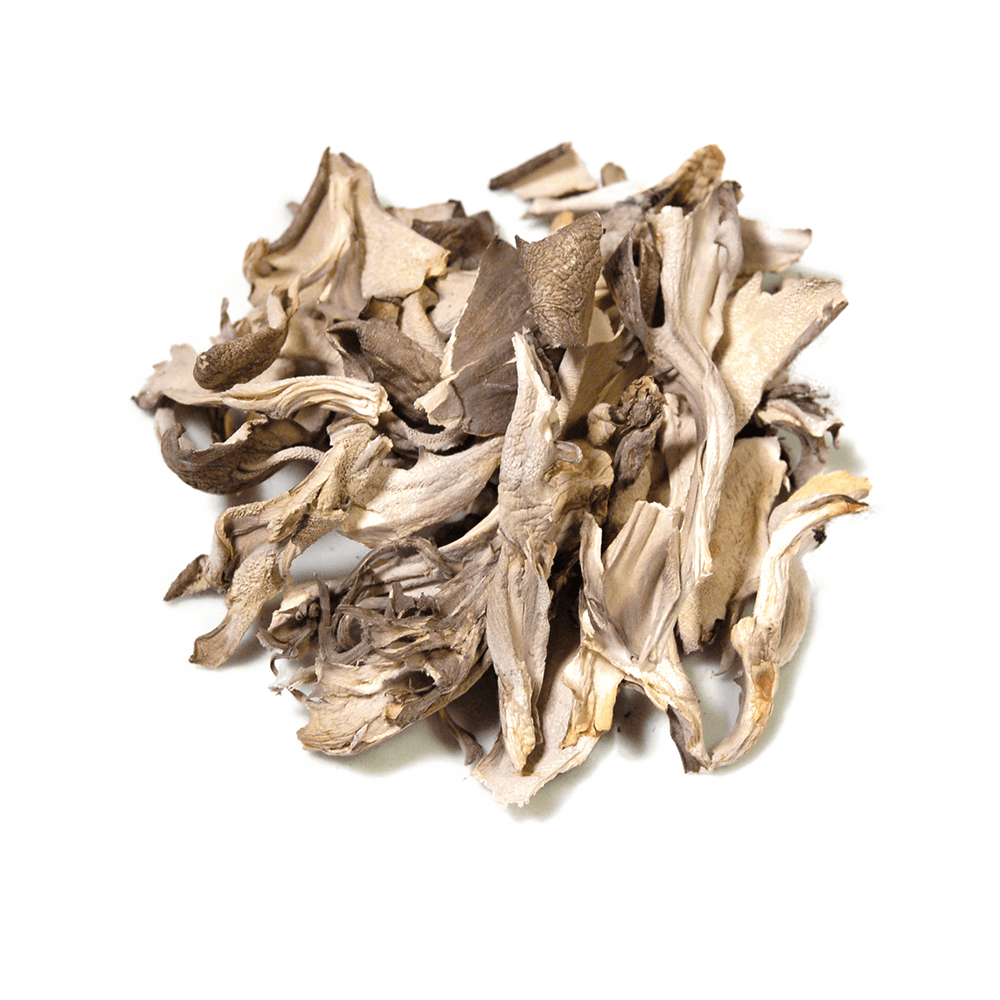 Maitake Mushroom