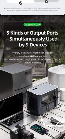 Pisen Portable Power Station WILD 600