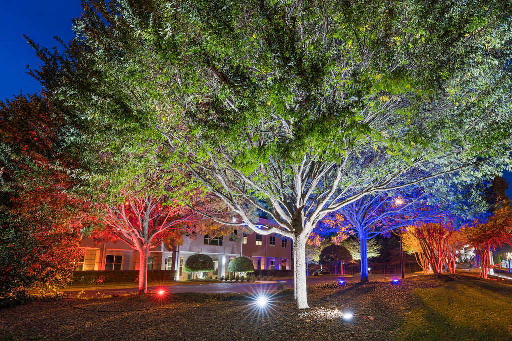 Spotlights Night Photography