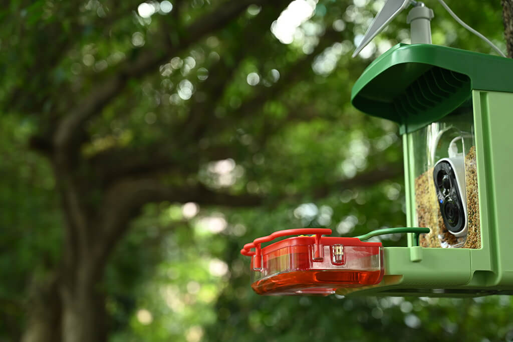 A New Breed - Smart Bird Feeder with Camera