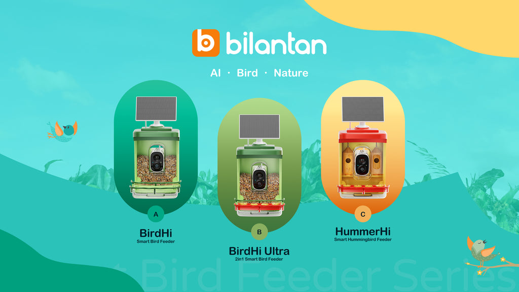 Bilantan 旗舰产品:Birdhi 智能喂鸟器、Hummerhi 智能蜂鸟喂鸟器和 Birdhi Ultra 二合一智能喂鸟器。Bilantan 智能喂鸟器——您的终极观鸟伙伴!配备 300 万像素高清摄像头和 AI 鸟类识别功能,可捕捉超过 6000 种鸟类的精彩照片和视频。近距离欣赏大自然的奇观,并与家人和朋友分享您的观鸟时刻。Bilantan 智能喂鸟器提升您的观鸟体验!