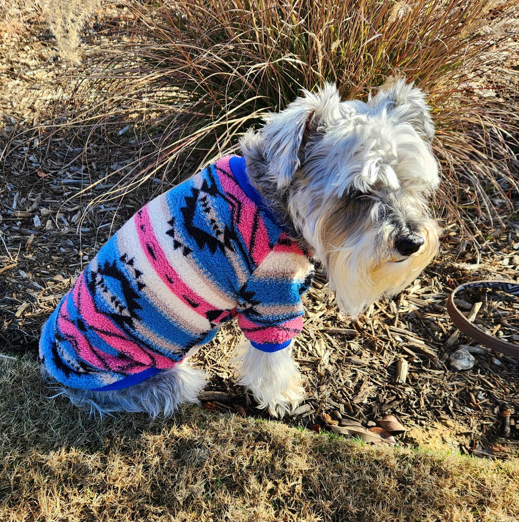 Stylish Lightweight Fleece Dog Sweater - Cozy and Warm Pet Apparel for Small to Medium Dogs