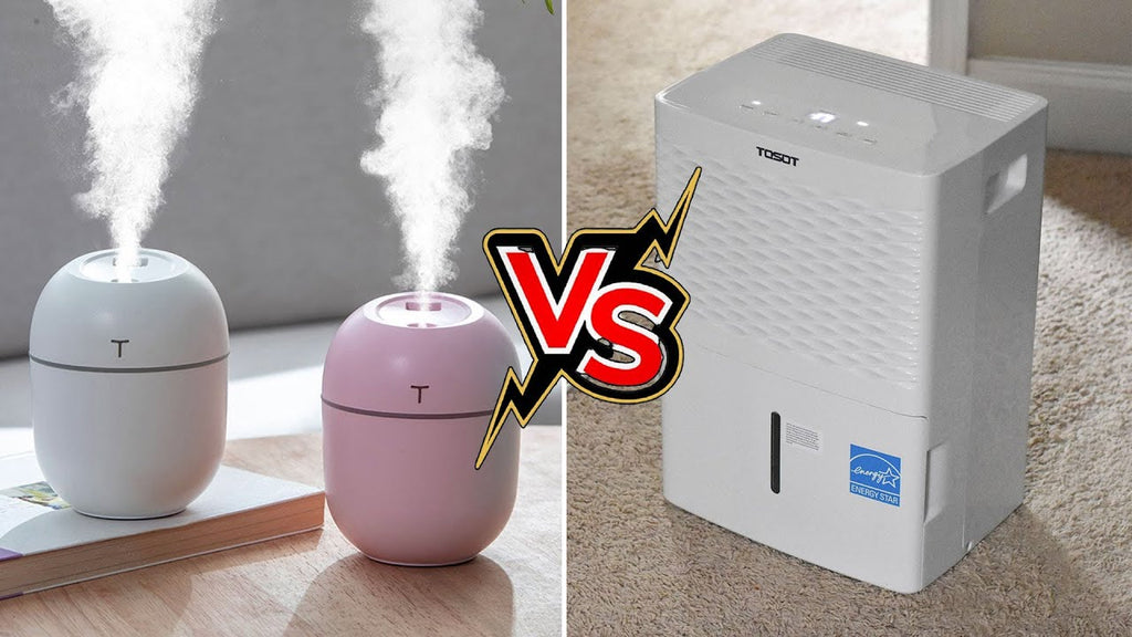 Humidifier Vs Dehumidifier