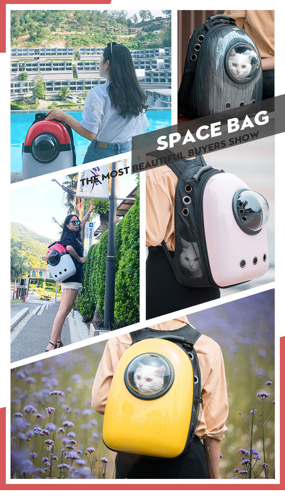 Cat Carrier Bag Transparent Breathable Capsule 13 Color Cat Backpack