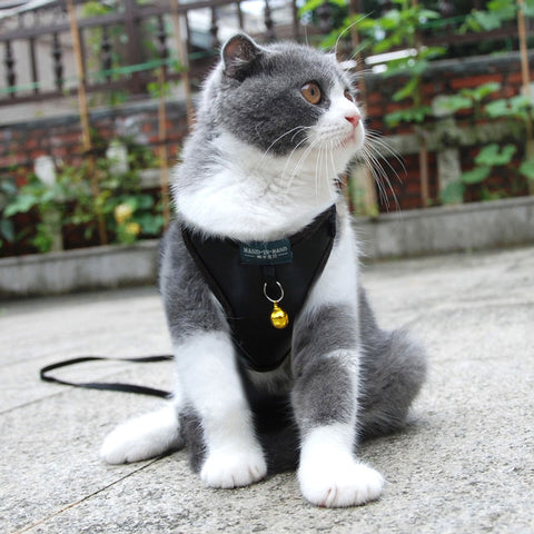 Cat Harness Vest Leash Imitation Leather 7 Color Pet Adjustable Harness